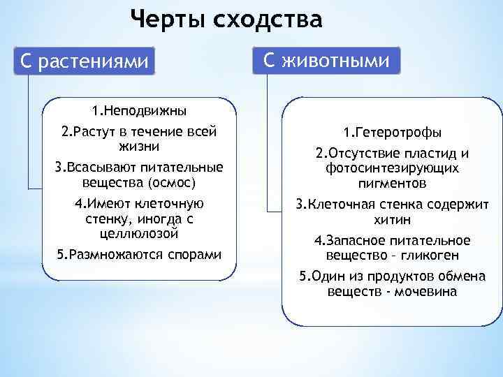 Черты сходства С растениями 1. Неподвижны 2. Растут в течение всей жизни 3. Всасывают