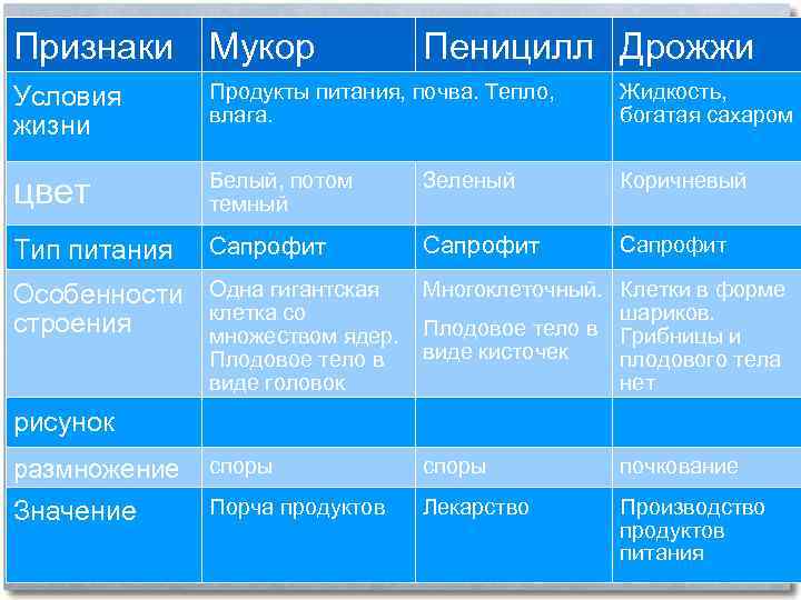 Признаки Мукор Пеницилл Дрожжи Условия жизни Продукты питания, почва. Тепло, влага. Жидкость, богатая сахаром