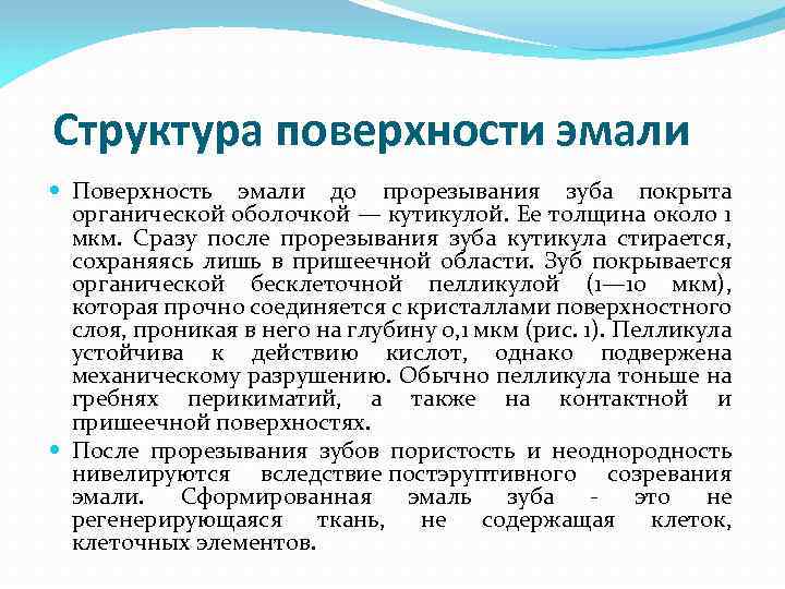 Структура поверхности эмали Поверхность эмали до прорезывания зуба покрыта органической оболочкой — кутикулой. Ее