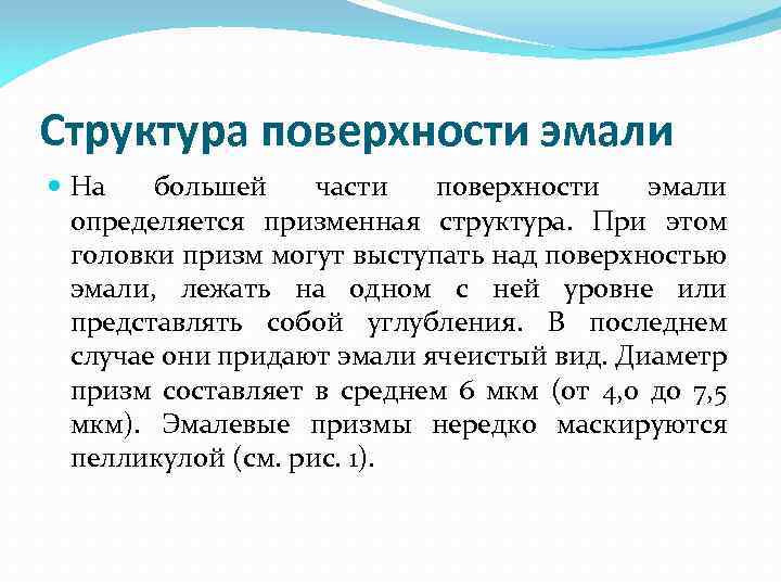 Структура поверхности эмали На большей части поверхности эмали определяется призменная структура. При этом головки