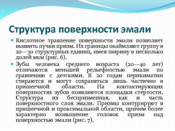 Структура поверхности эмали Кислотное травление поверхности эмали позволяет выявить пучки призм. Их границы окаймляют