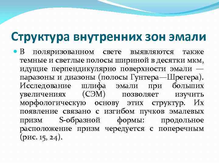 Структура внутренних зон эмали В поляризованном свете выявляются также темные и светлые полосы шириной