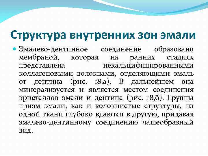 Структура внутренних зон эмали Эмалево-дентинное соединение образовано мембраной, которая на ранних стадиях представлена некальцифицированными