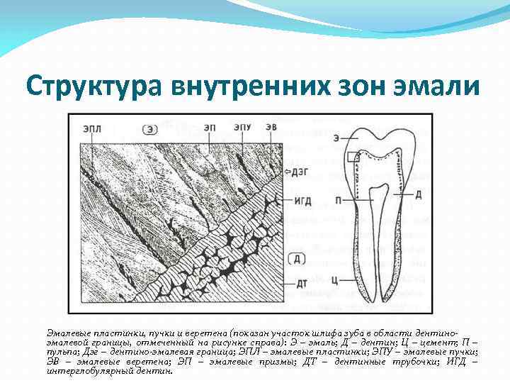 Внутренняя зона