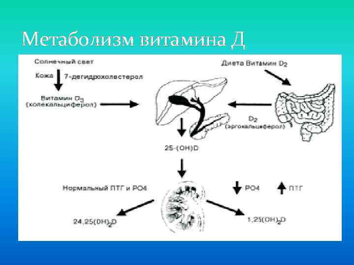 Механизм развития рахита схема