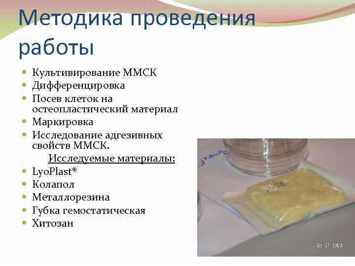 Методика проведения работы Культивирование ММСК Дифференцировка Посев клеток на остеопластический материал Маркировка Исследование адгезивных