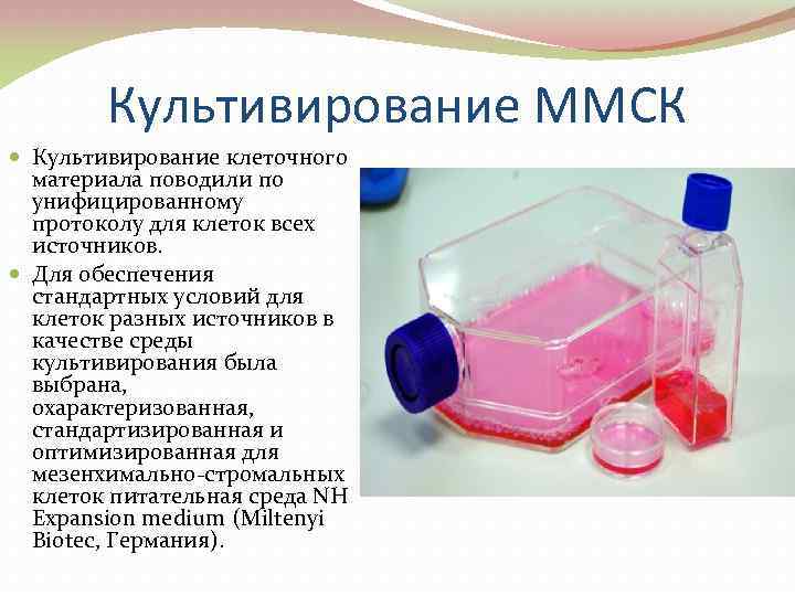 Культивирование ММСК Культивирование клеточного материала поводили по унифицированному протоколу для клеток всех источников. Для