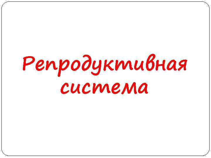 Репродуктивная система 