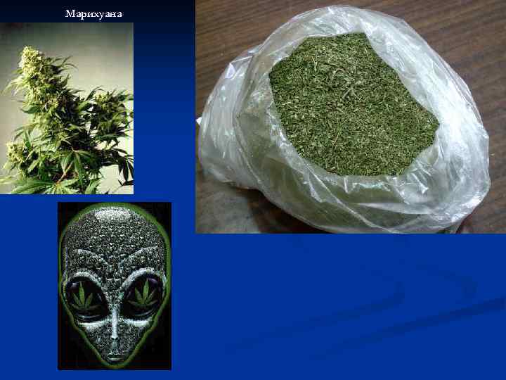 Заключение эксперта марихуана payot 24 hydra baume