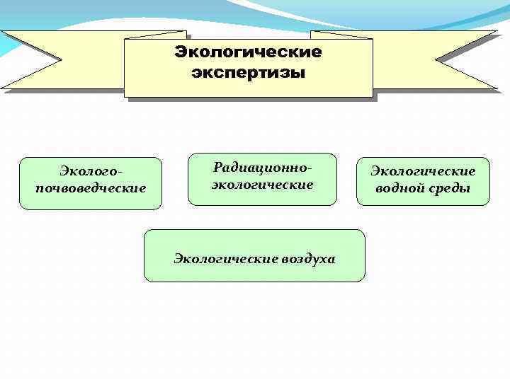 Классификация судебных. Судебно-экологическая экспертиза. Классификация судебных экспертиз биологических. Классификация судебных экспертиз по последовательности проведения. Классификация экологической экспертизы.