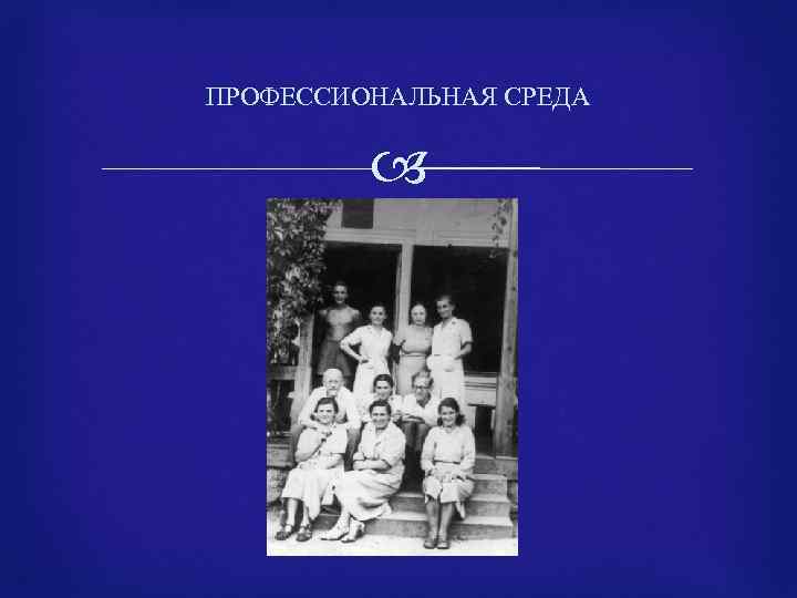 ПРОФЕССИОНАЛЬНАЯ СРЕДА 