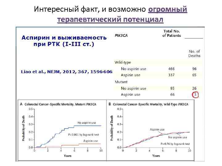 Интересный факт, и возможно огромный терапевтический потенциал 