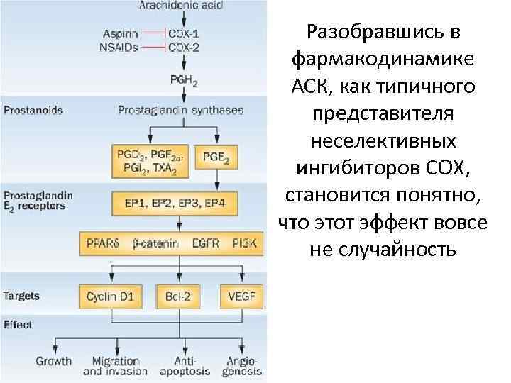 Разобравшись в фармакодинамике АСК, как типичного представителя неселективных ингибиторов COX, становится понятно, что этот