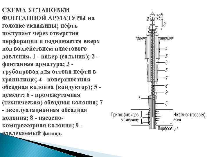 СХЕМА УСТАНОВКИ ФОНТАННОЙ АРМАТУРЫ на головке скважины; нефть поступает через отверстия перфорации и поднимается