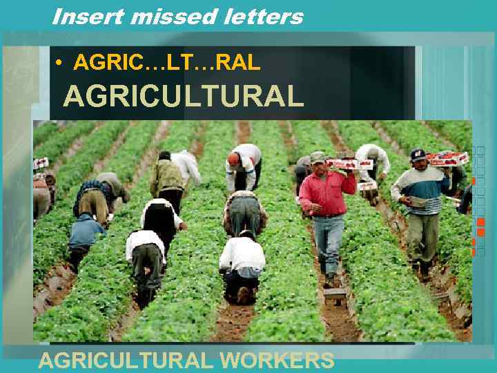 Insert missed letters • AGRIC…LT…RAL AGRICULTURAL WORKERS 