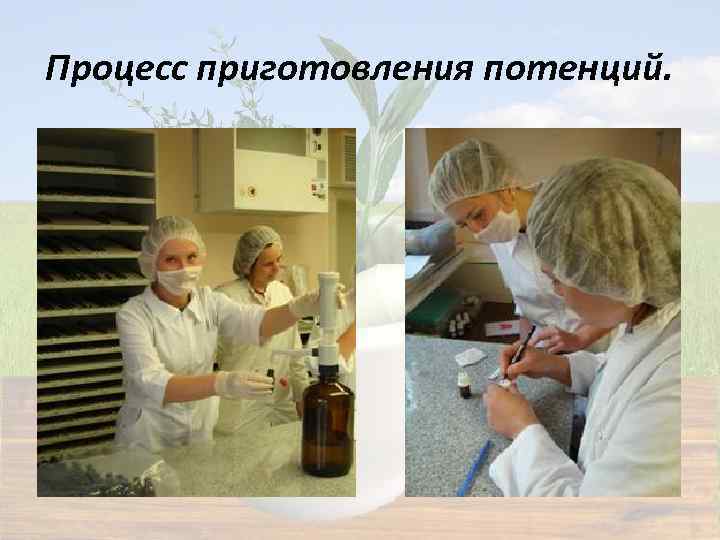 Процесс приготовления потенций. 