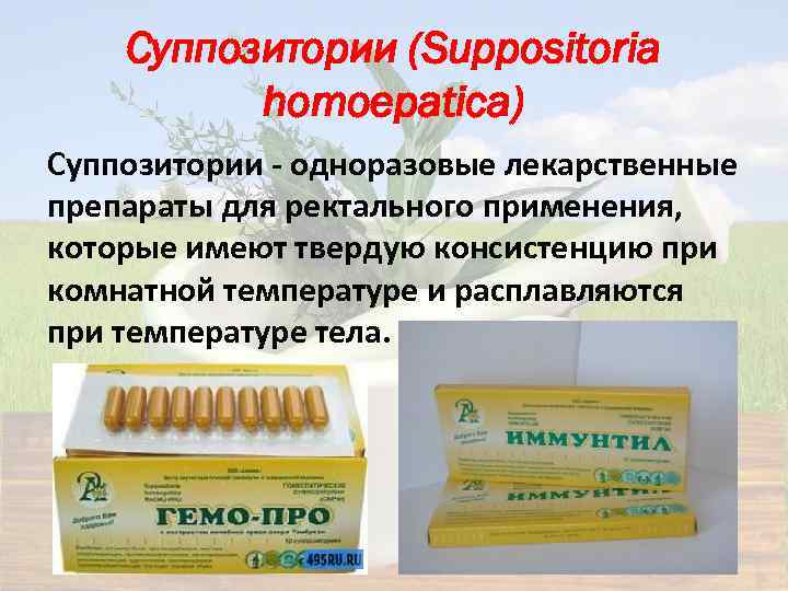 Суппозитории (Suppositoria homoepatica) Суппозитории - одноразовые лекарственные препараты для ректального применения, которые имеют твердую