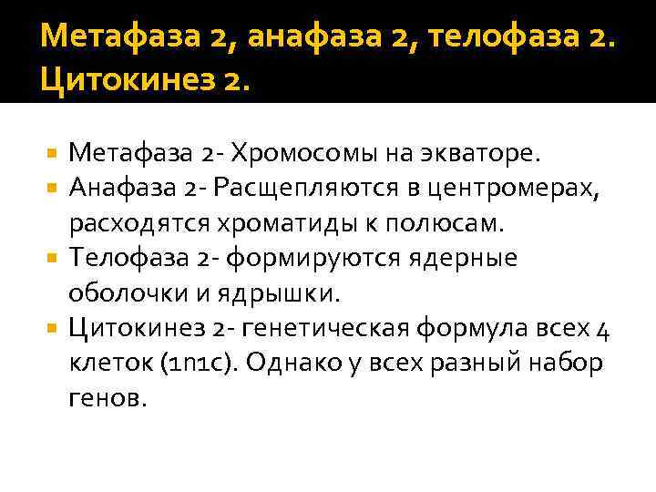 Метафаза 2, анафаза 2, телофаза 2. Цитокинез 2. Метафаза 2 - Хромосомы на экваторе.