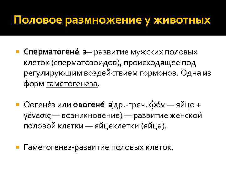 Половое размножение у животных Сперматогене з— развитие мужских половых клеток (сперматозоидов), происходящее под регулирующим