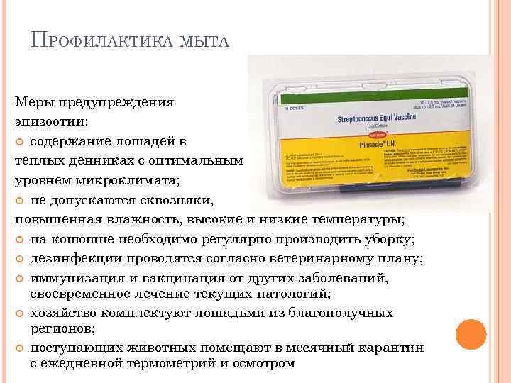 ПРОФИЛАКТИКА МЫТА Меры предупреждения эпизоотии: содержание лошадей в теплых денниках с оптимальным уровнем микроклимата;