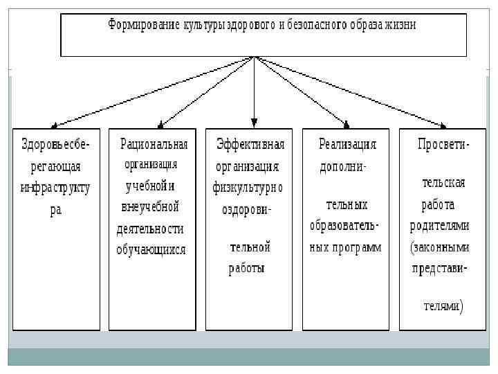 Профессиограмма архитектора 8 класс по плану