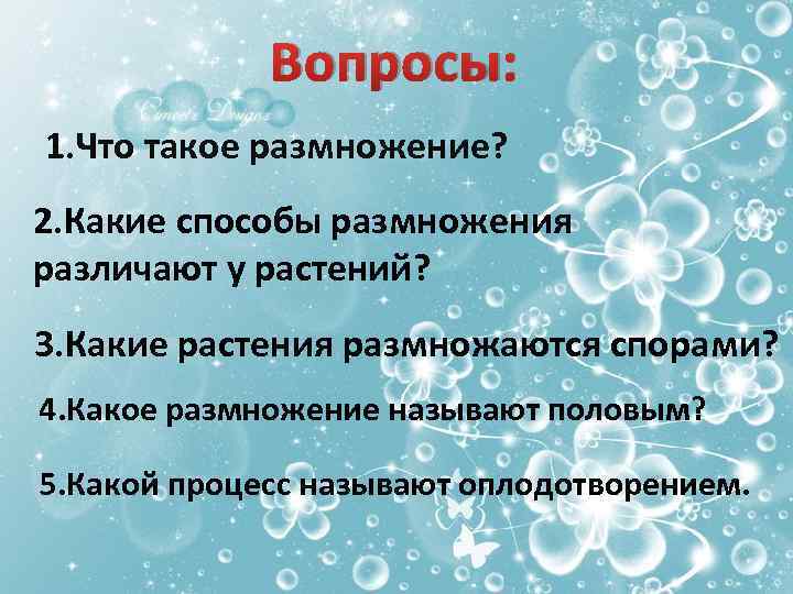 Вопросы: 1. Что такое размножение? 2. Какие способы размножения различают у растений? 3. Какие