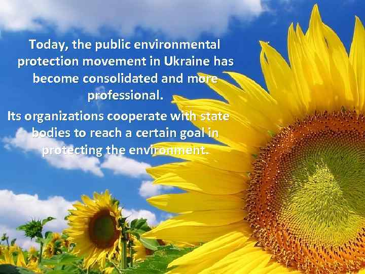 Today, the public environmental protection movement in Ukraine has become consolidated and more professional.