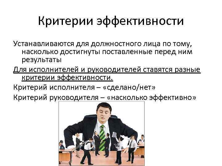 Критерии эффективности Устанавливаются для должностного лица по тому, насколько достигнуты поставленные перед ним результаты