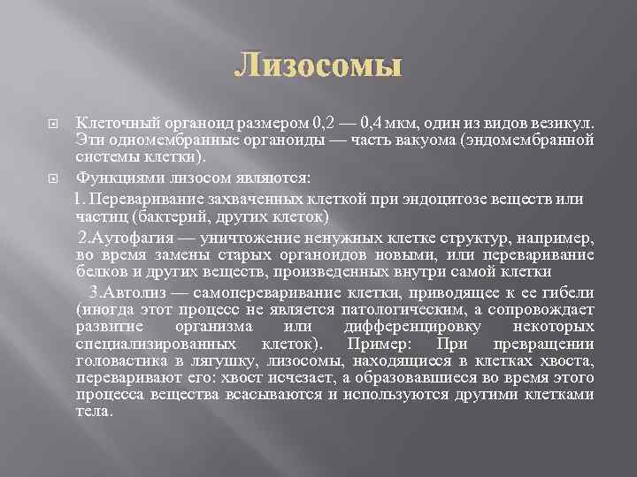 Лизосомы Клеточный органоид размером 0, 2 — 0, 4 мкм, один из видов везикул.