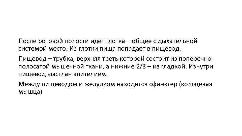 После ротовой полости идет глотка – общее с дыхательной системой место. Из глотки пища