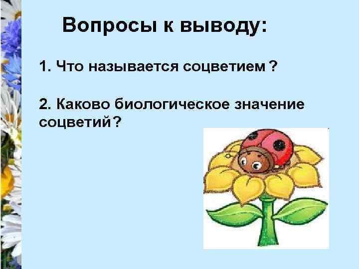 Вопросы к выводу: 1. Что называется соцветием ? 2. Каково биологическое значение соцветий? 