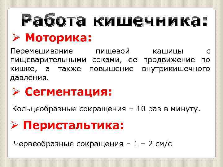 Также увеличение. Повышение внутрикишечного давления. Что усиливает перистальтику кишечника кишечный сок. Продвижение пищевой кашицы.