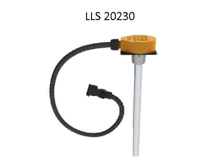 LLS 20230 