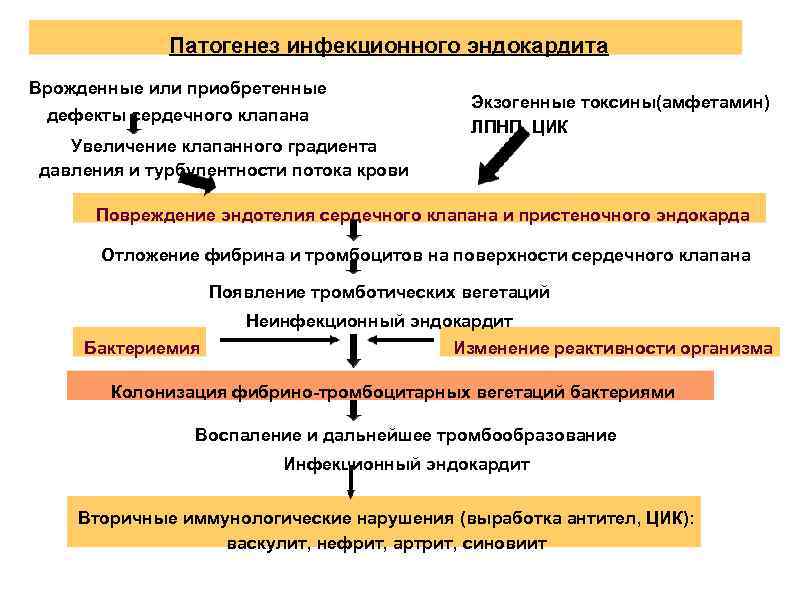 Патогенез инфекционного эндокардита Врожденные или приобретенные дефекты сердечного клапана Увеличение клапанного градиента давления и