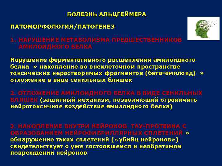 БОЛЕЗНЬ АЛЬЦГЕЙМЕРА ПАТОМОРФОЛОГИЯ/ПАТОГЕНЕЗ 1. НАРУШЕНИЕ МЕТАБОЛИЗМА ПРЕДШЕСТВЕННИКОВ АМИЛОИДНОГО БЕЛКА Нарушение ферментативного расщепления амилоидного белка