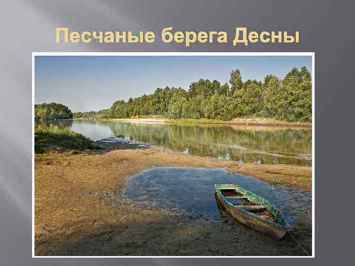 Песчаные берега Десны 