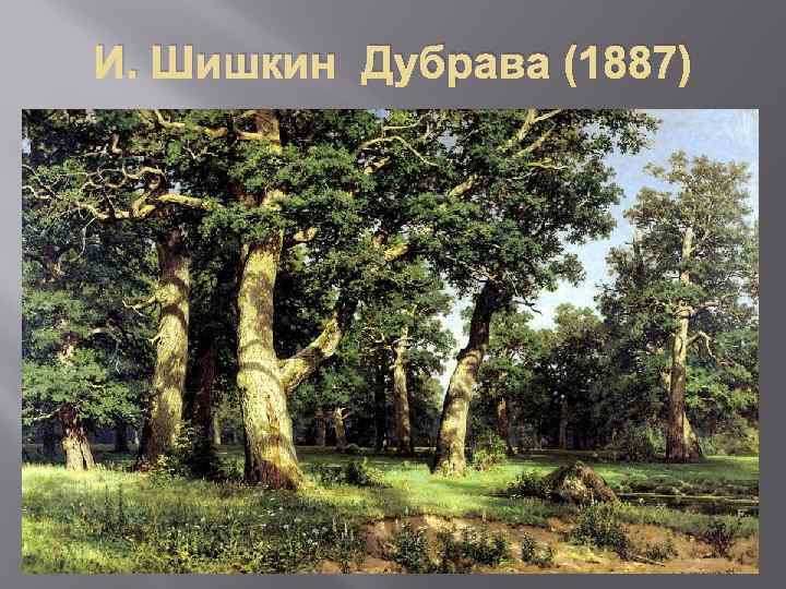 И. Шишкин Дубрава (1887) 