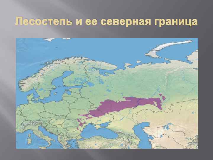 Лесостепь и ее северная граница 