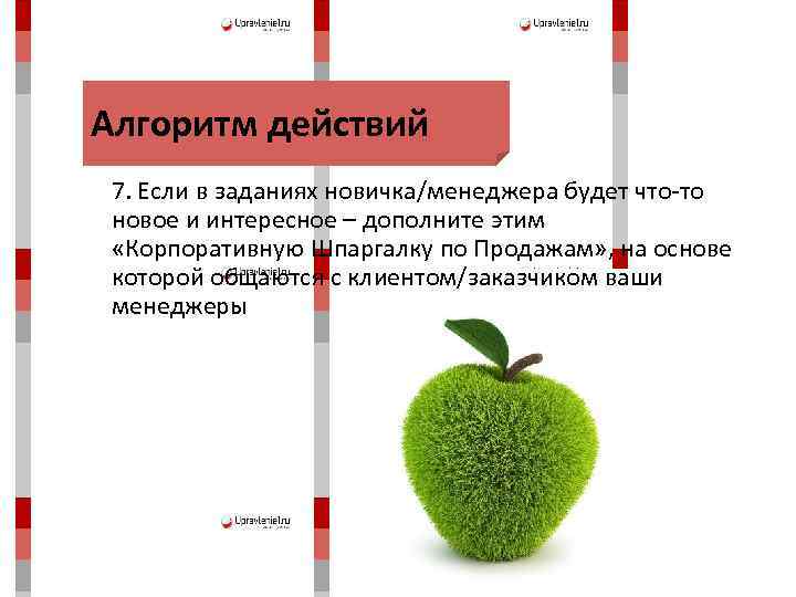 Алгоритм действий 7. Если в заданиях новичка/менеджера будет что-то новое и интересное – дополните