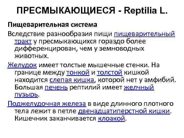 ПРЕСМЫКАЮЩИЕСЯ - Reptilia L. Пищеварительная система Вследствие разнообразия пищи пищеварительный тракт у пресмыкающихся гораздо