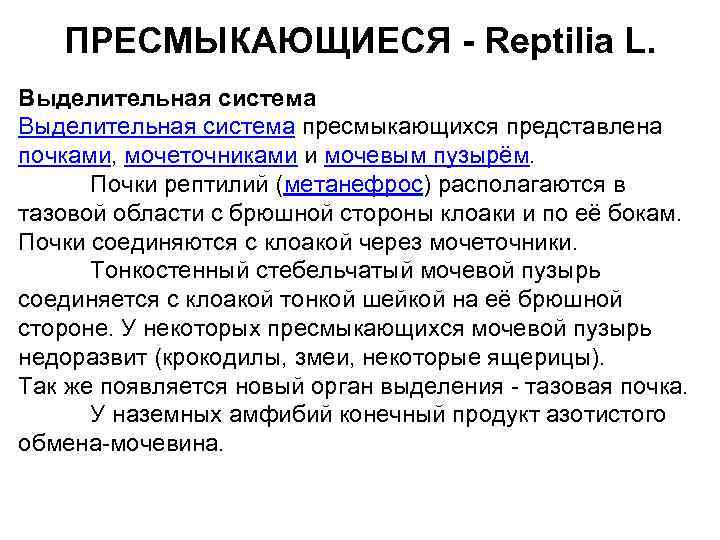 ПРЕСМЫКАЮЩИЕСЯ - Reptilia L. Выделительная система пресмыкающихся представлена почками, мочеточниками и мочевым пузырём. Почки