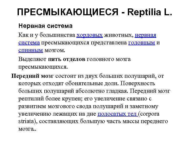 ПРЕСМЫКАЮЩИЕСЯ - Reptilia L. Нервная система Как и у большинства хордовых животных, нервная система