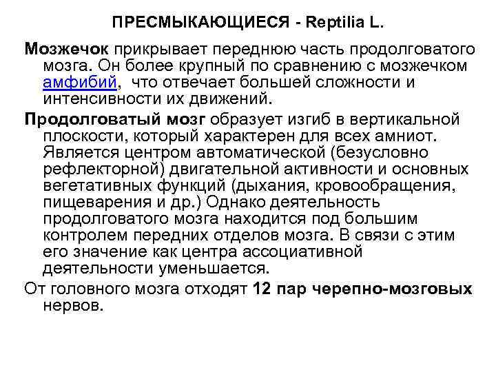 ПРЕСМЫКАЮЩИЕСЯ - Reptilia L. Мозжечок прикрывает переднюю часть продолговатого мозга. Он более крупный по