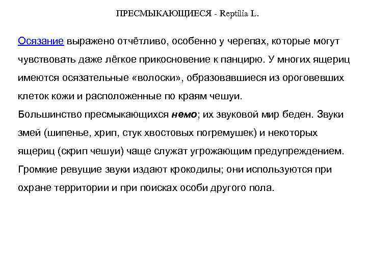 ПРЕСМЫКАЮЩИЕСЯ - Reptilia L. Осязание выражено отчётливо, особенно у черепах, которые могут чувствовать даже