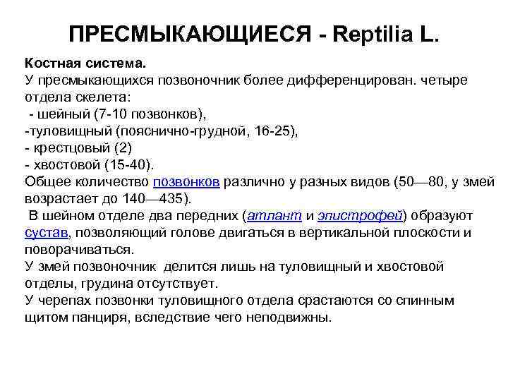 ПРЕСМЫКАЮЩИЕСЯ - Reptilia L. Костная система. У пресмыкающихся позвоночник более дифференцирован. четыре отдела скелета:
