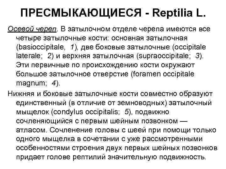 ПРЕСМЫКАЮЩИЕСЯ - Reptilia L. Осевой череп. В затылочном отделе черепа имеются все четыре затылочные