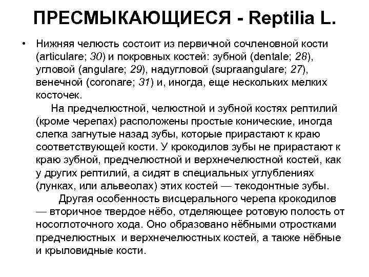ПРЕСМЫКАЮЩИЕСЯ - Reptilia L. • Нижняя челюсть состоит из первичной сочленовной кости (articulare; 30)