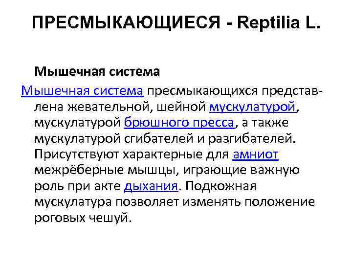 Характеристика подтипа позвоночные анамнии и амниоты