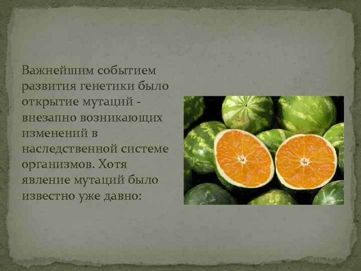 Важнейшим событием развития генетики было открытие мутаций внезапно возникающих изменений в наследственной системе организмов.