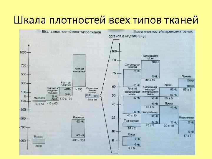 Шкала плотностей всех типов тканей 